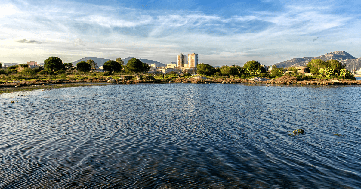 361.png