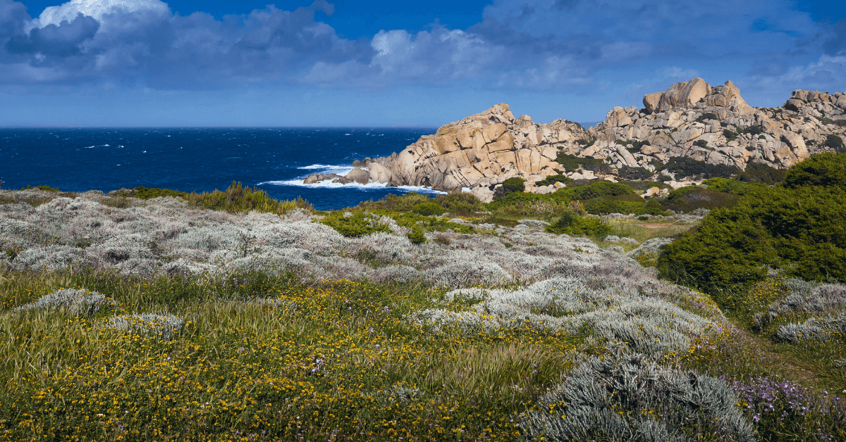 Cosa vedere a Santa Teresa di Gallura: 10 posti da non perdere per l'estate 2024