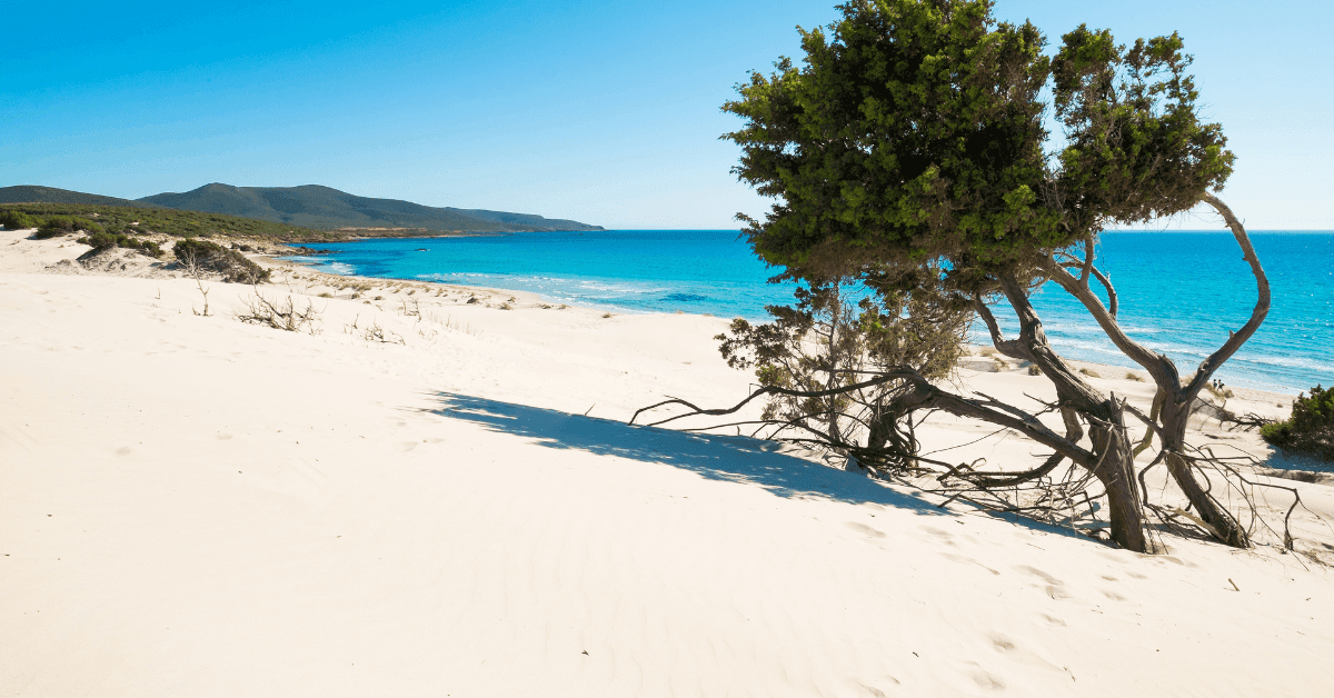 Sardegna in camper: i 5 itinerari imperdibili per il 2024