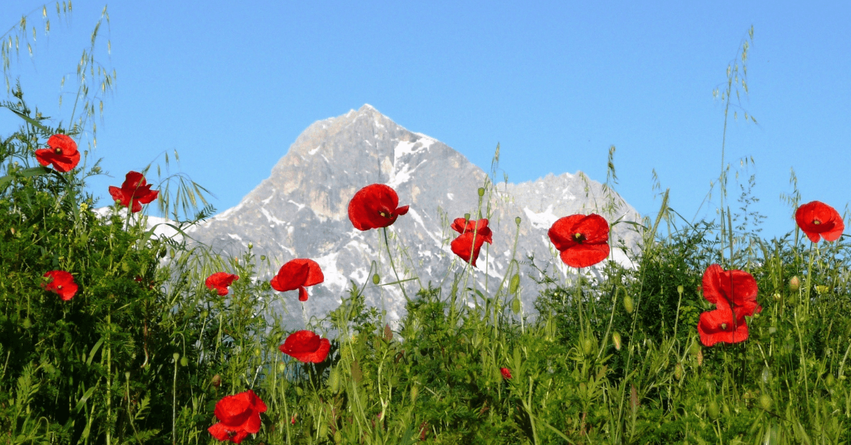 Trekking in Abruzzo: i 5 percorsi imperdibili per il 2024