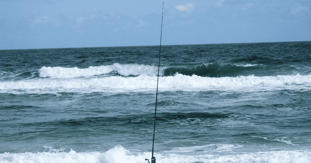Liguria: le migliori destinazioni per la pesca sportiva a contatto con la natura