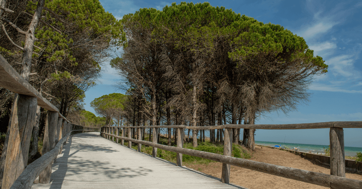 Alla scoperta delle migliori spiagge di San Michele al Tagliamento