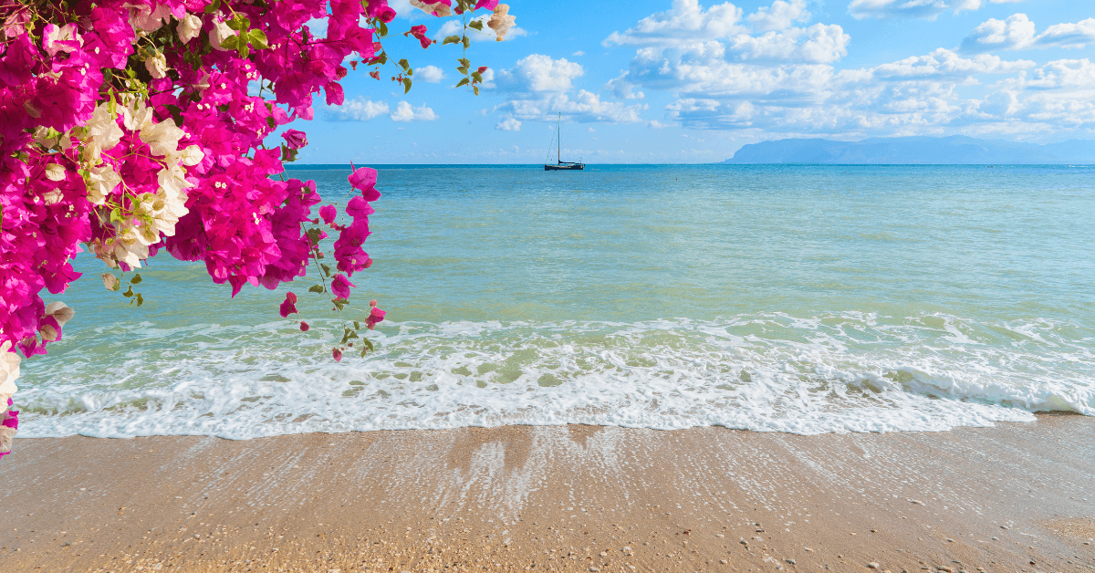 Scopello: Le Spiagge Più Belle – Guida Completa 2026